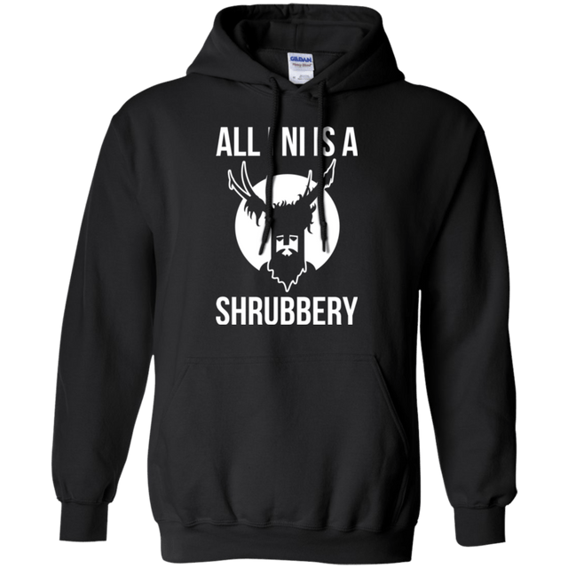 Sweatshirts Black / Small All I Ni Pullover Hoodie