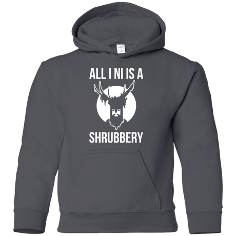 Sweatshirts Charcoal / YS All I Ni Youth Hoodie