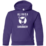 Sweatshirts Purple / YS All I Ni Youth Hoodie