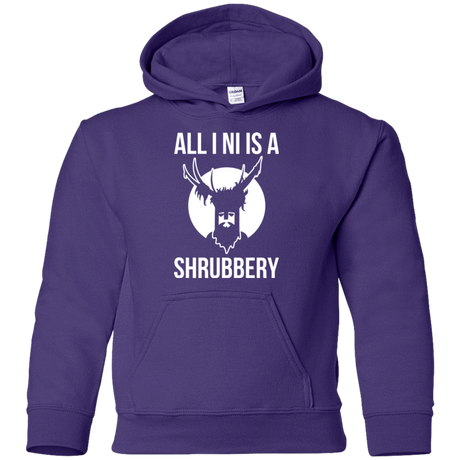 Sweatshirts Purple / YS All I Ni Youth Hoodie