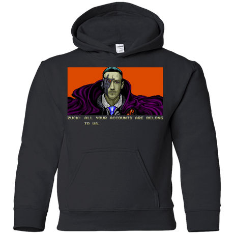 Sweatshirts Black / YS All Your Accounts Youth Hoodie