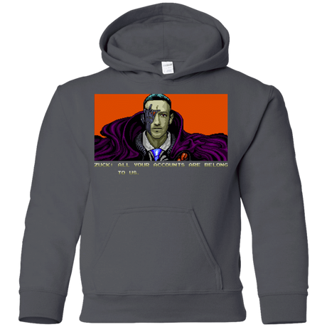 Sweatshirts Charcoal / YS All Your Accounts Youth Hoodie