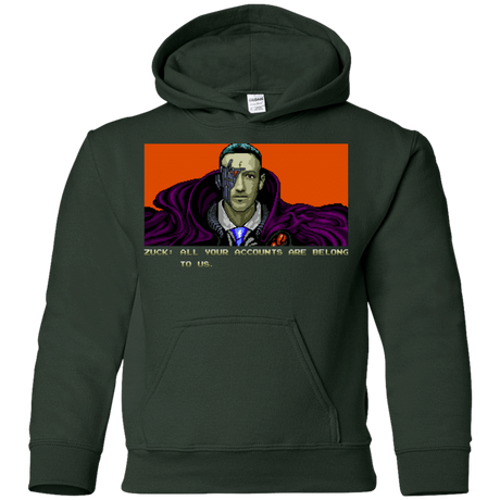 Sweatshirts Forest Green / YS All Your Accounts Youth Hoodie