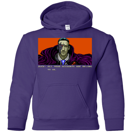 Sweatshirts Purple / YS All Your Accounts Youth Hoodie