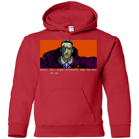 Sweatshirts Red / YS All Your Accounts Youth Hoodie