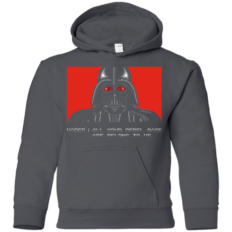 Sweatshirts Charcoal / YS All your rebel base are belongs to us Youth Hoodie
