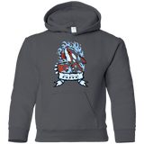 Sweatshirts Charcoal / YS Alpha Youth Hoodie