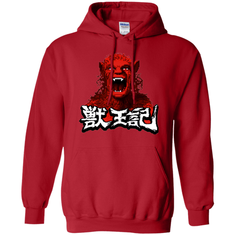 Sweatshirts Red / Small Altered Pullover Hoodie