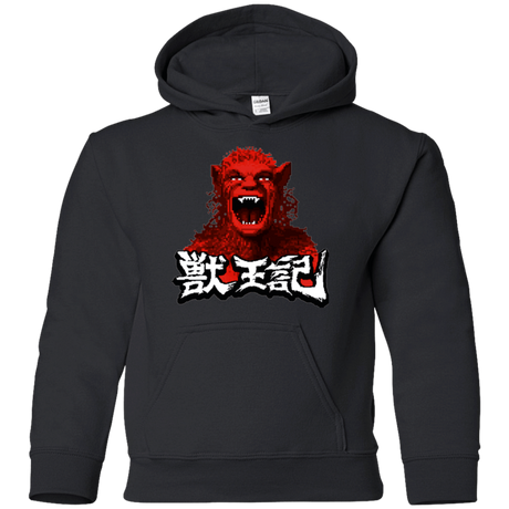 Sweatshirts Black / YS Altered Youth Hoodie