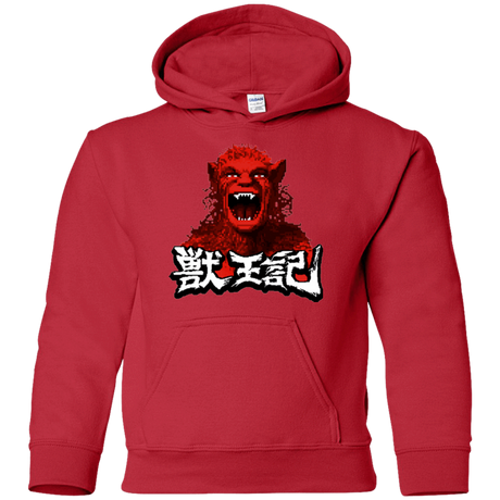 Sweatshirts Red / YS Altered Youth Hoodie