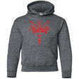 Sweatshirts Dark Heather / YS Alucard Youth Hoodie
