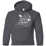 Sweatshirts Charcoal / YS Always Be a Viking Youth Hoodie