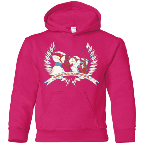 Sweatshirts Heliconia / YS Always Five Acting As One Youth Hoodie