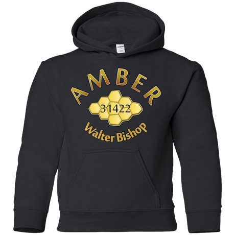 Sweatshirts Black / YS Amber Youth Hoodie