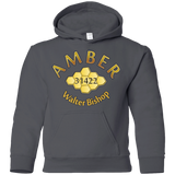 Sweatshirts Charcoal / YS Amber Youth Hoodie