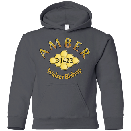 Sweatshirts Charcoal / YS Amber Youth Hoodie