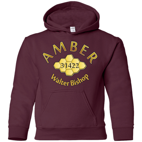 Sweatshirts Maroon / YS Amber Youth Hoodie