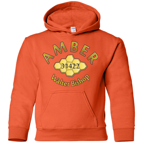 Sweatshirts Orange / YS Amber Youth Hoodie