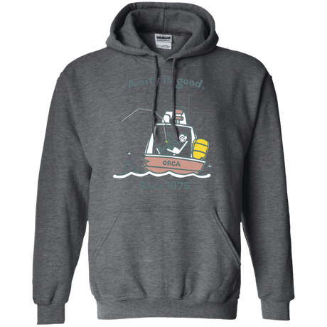 Sweatshirts Dark Heather / Small Amity Is Good Pullover Hoodie