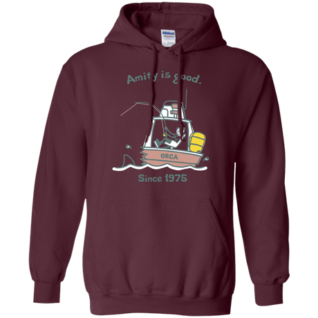 Sweatshirts Maroon / Small Amity Is Good Pullover Hoodie