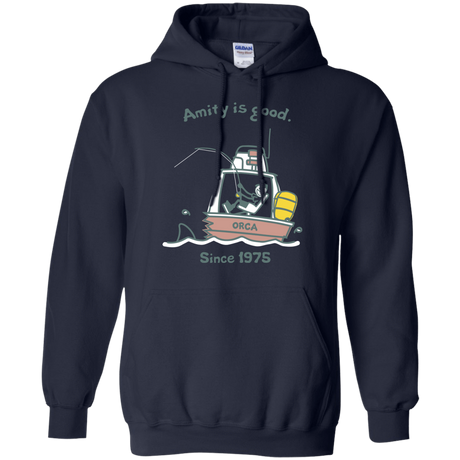 Sweatshirts Navy / Small Amity Is Good Pullover Hoodie