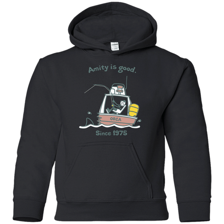 Sweatshirts Black / YS Amity Is Good Youth Hoodie
