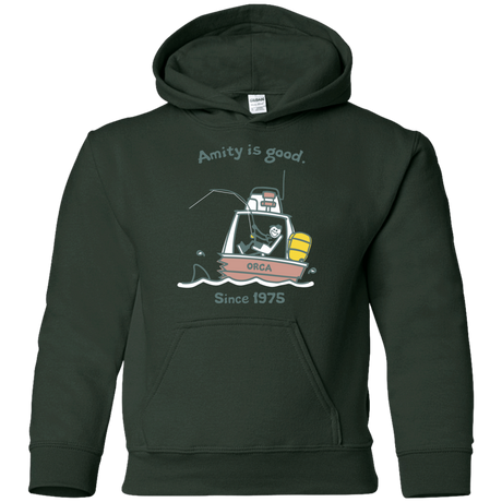 Sweatshirts Forest Green / YS Amity Is Good Youth Hoodie