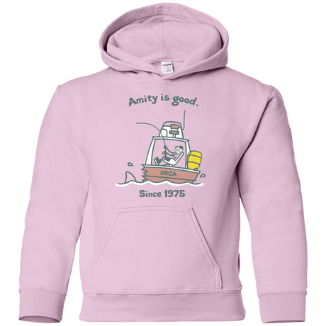 Sweatshirts Light Pink / YS Amity Is Good Youth Hoodie