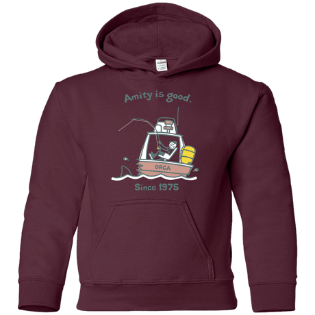 Sweatshirts Maroon / YS Amity Is Good Youth Hoodie