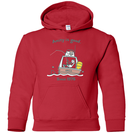 Sweatshirts Red / YS Amity Is Good Youth Hoodie