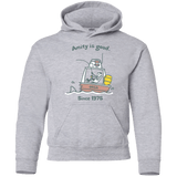 Sweatshirts Sport Grey / YS Amity Is Good Youth Hoodie