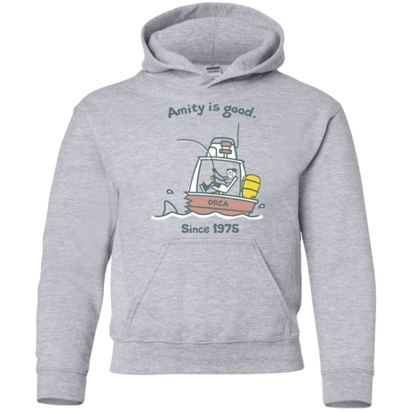 Sweatshirts Sport Grey / YS Amity Is Good Youth Hoodie