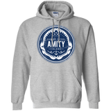 Sweatshirts Sport Grey / Small Amity nemons Pullover Hoodie