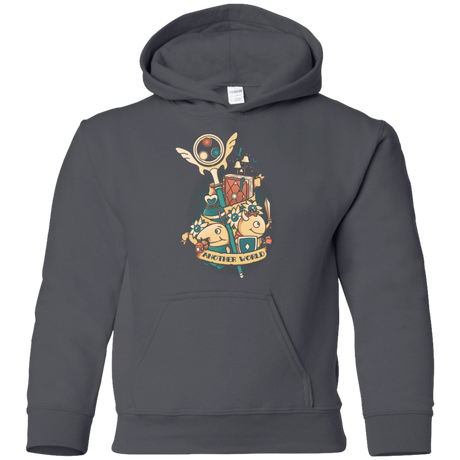 Sweatshirts Charcoal / YS Another world Youth Hoodie