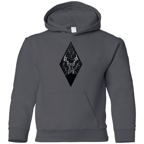 Sweatshirts Charcoal / YS Antler Stars Youth Hoodie