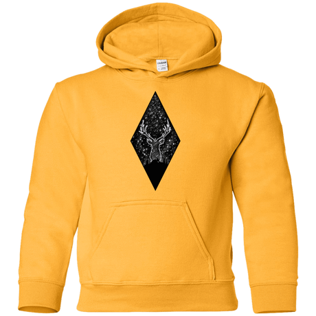 Sweatshirts Gold / YS Antler Stars Youth Hoodie