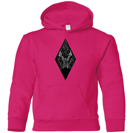Sweatshirts Heliconia / YS Antler Stars Youth Hoodie