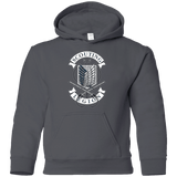 Sweatshirts Charcoal / YS AoT Scouting Legion Youth Hoodie