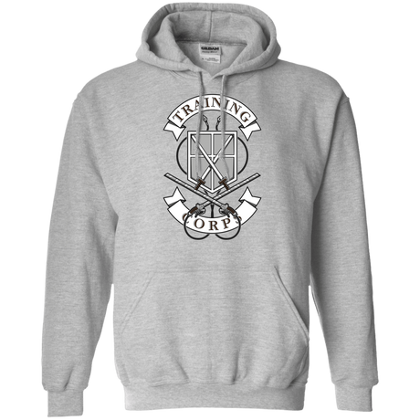 Sweatshirts Sport Grey / S AoT Training Corps Pullover Hoodie