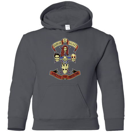 Sweatshirts Charcoal / YS Appetite for Protection Youth Hoodie