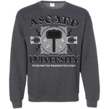 Sweatshirts Dark Heather / Small Asgard University Crewneck Sweatshirt