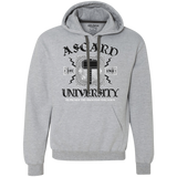 Sweatshirts Sport Grey / Small Asgard University Premium Fleece Hoodie