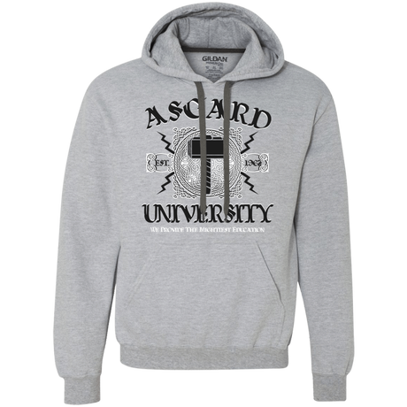 Sweatshirts Sport Grey / Small Asgard University Premium Fleece Hoodie
