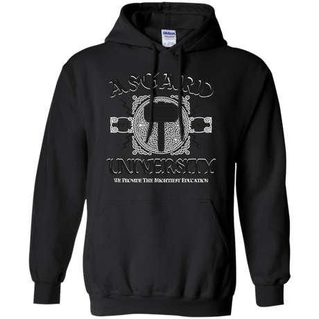 Sweatshirts Black / Small Asgard University Pullover Hoodie