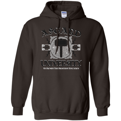 Sweatshirts Dark Chocolate / Small Asgard University Pullover Hoodie