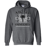 Sweatshirts Dark Heather / Small Asgard University Pullover Hoodie