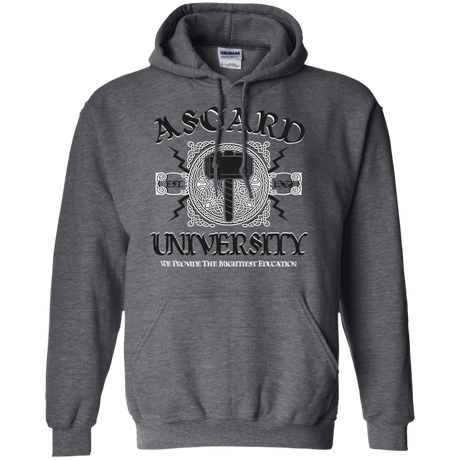 Sweatshirts Dark Heather / Small Asgard University Pullover Hoodie