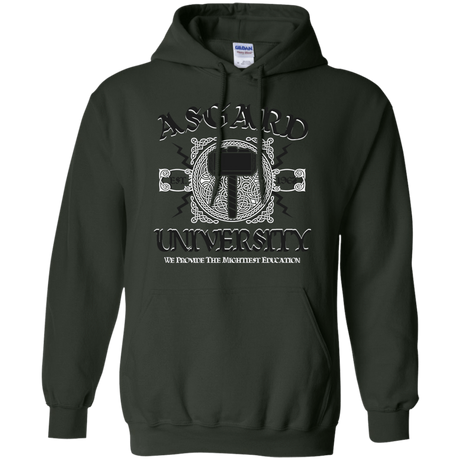 Sweatshirts Forest Green / Small Asgard University Pullover Hoodie