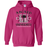 Sweatshirts Heliconia / Small Asgard University Pullover Hoodie