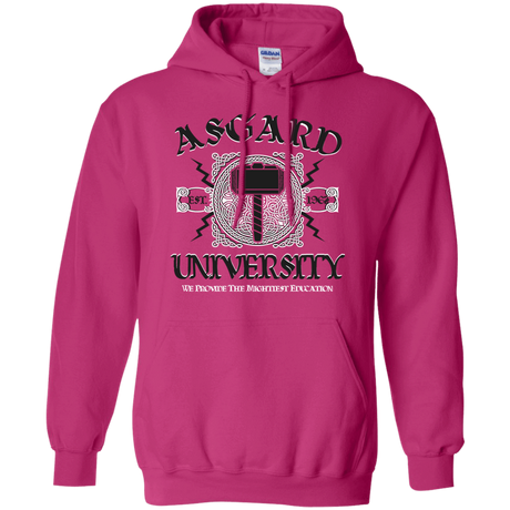 Sweatshirts Heliconia / Small Asgard University Pullover Hoodie